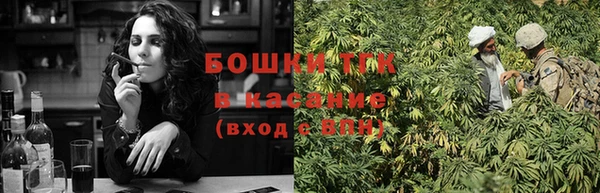 ECSTASY Богородицк